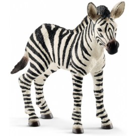 Zebra foal Schleich 14811