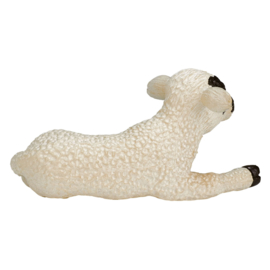 Sheep black white lamb  Mojo 387060