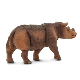 Sumatran Rhino  S100103