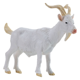 Billy goat Mojo 381136