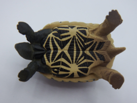 Stralenschildpad Takara Tomy