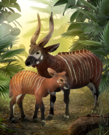 Bongo antilope kalf   CollectA 88823