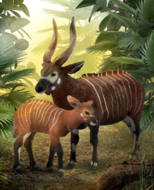 Bongo antelope calf CollectA 88823
