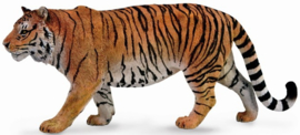 Tiger Siberian  CollectA 88789