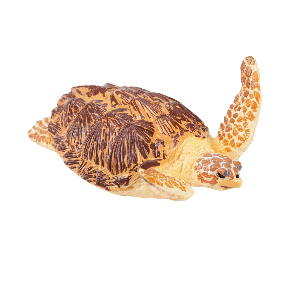 Loggerhead sea turtle  Toymany