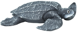 Leatherback Sea Turtle