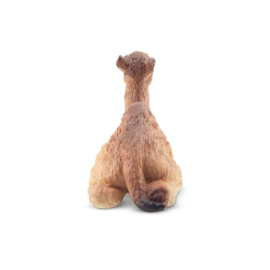 Dromedary  Camel Calf Toymany