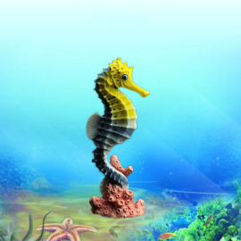 Sea horse (large)