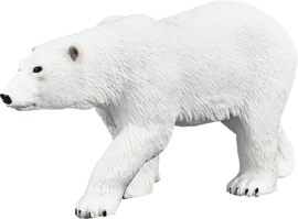 Polar bear  Mojo 387019