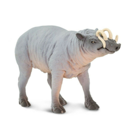 Babirusa  S100102