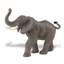 Elephant african S238429