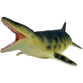 Mosasaurus S 110027
