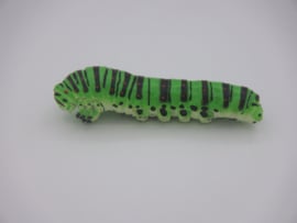 Koninginnepage Papilio machanon