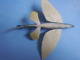 Flying fish xl