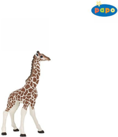 Giraffe baby   Papo 50100