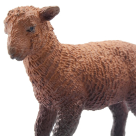 Brown Lamb  Toymany