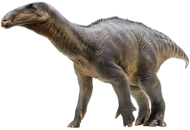 Harvey The Iguanodon PNSO 301014