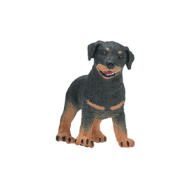 Rottweiler pup  S239229