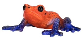 Poison Dart Tree Frog  Mojo 381016