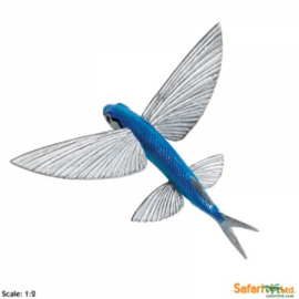 Vliegende vis   Safari 263529