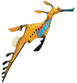 Weedy Seadragon