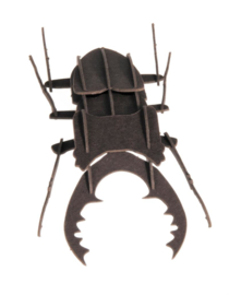 Stag beetle 3D paper model