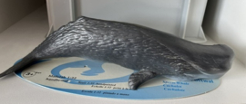 Potvis   Schleich 16084