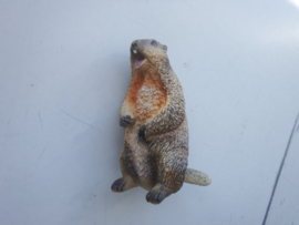 Prairiedog