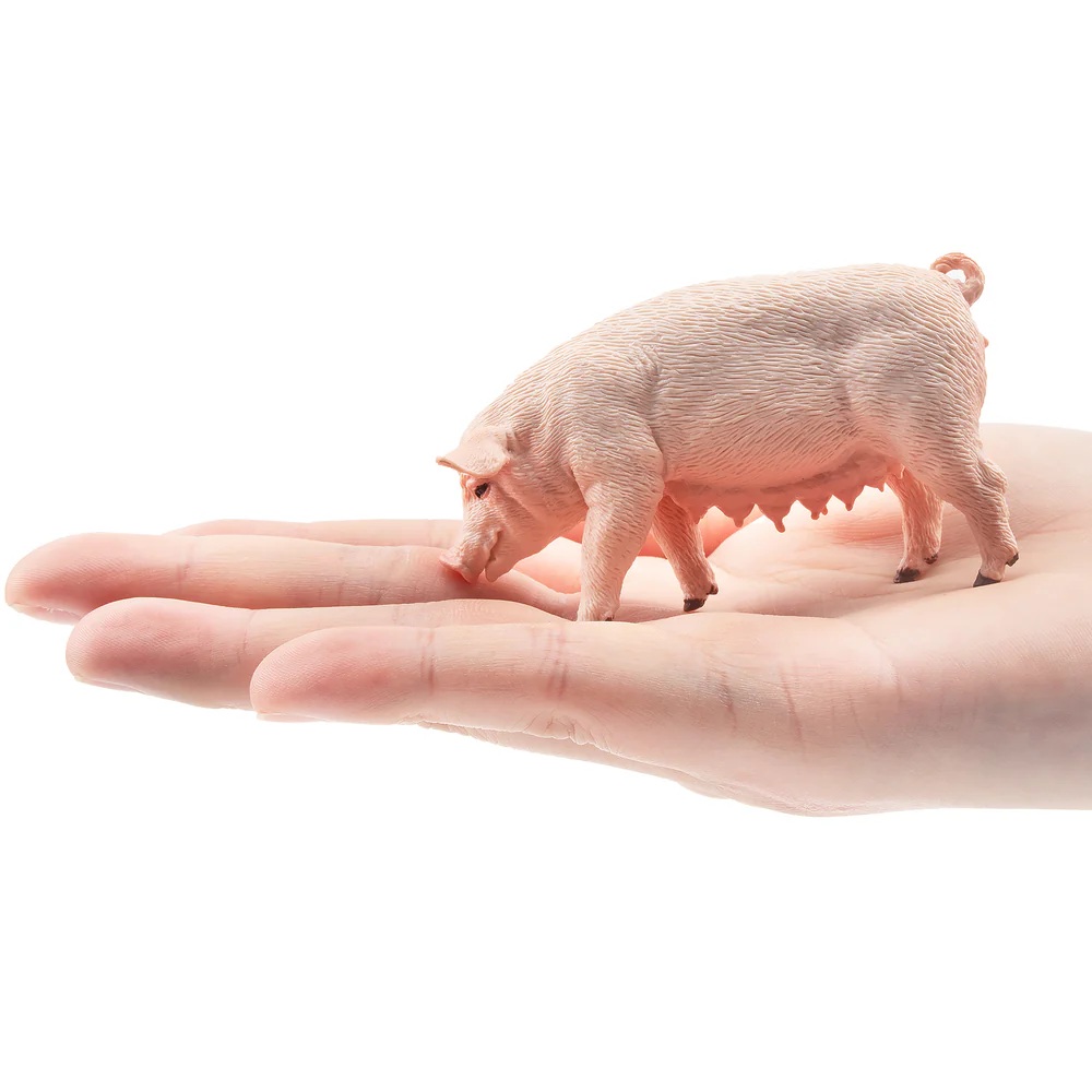 Female Adult Pig  Toymany