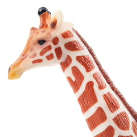 Giraffe male  Toymany