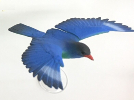 17 Oriental Dollarbird