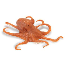Octopus  (rood)   S274429