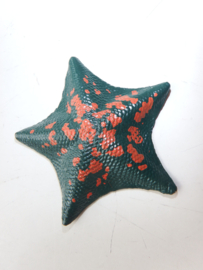 Blue Bat Sea star