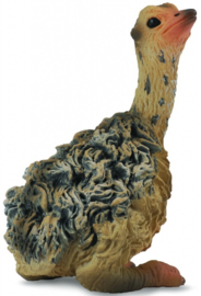 Ostrich Chick sitting   CollectA 88460