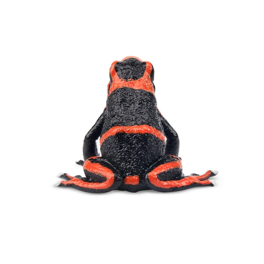 Lehmann's poison dartfrog Toymany