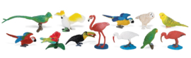 Exotic Birds   S680404