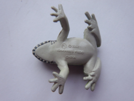 Ishikawa's Frog  Fuji  version 2