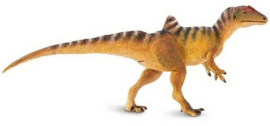 Concavenator   S100355
