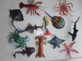 Zeedieren set van 12