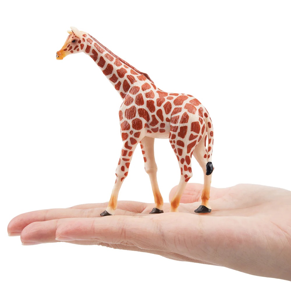 Giraffe standing  Toymany