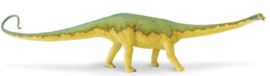 Diplodocus S 405401  Carnegie
