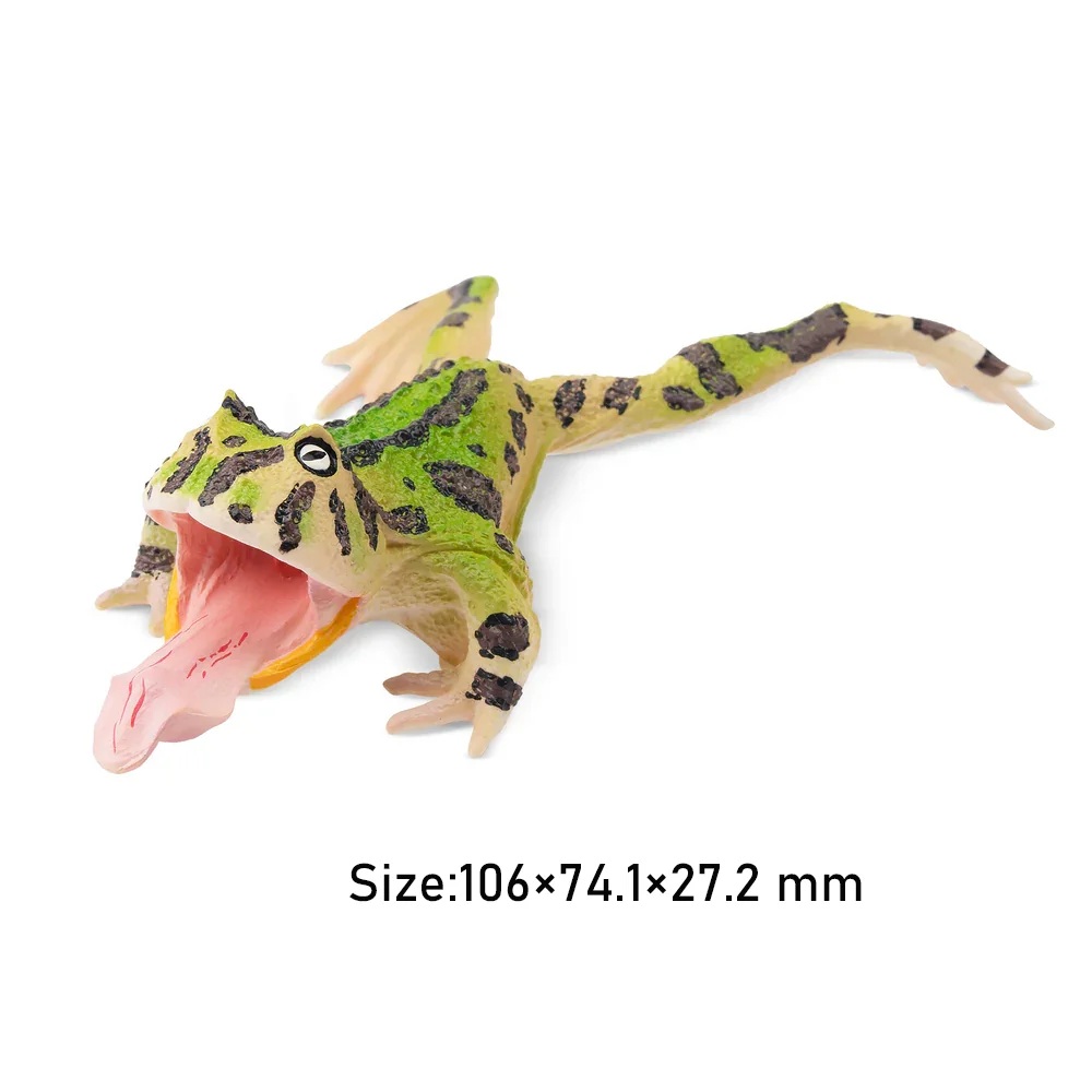 Surinam horned frog Toymany