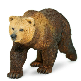 Grizzly bear  Safari 181329