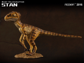 Velociraptor baby  Stan    Rebor