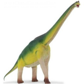 Brachiosaurus S300229