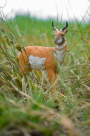 Pronghorn Toymany