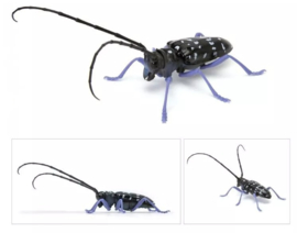 Bandai  Kaiyodo beetles and spiders