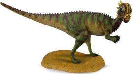 Pachycephalosaurus  CollectA 88629