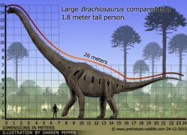 Brachiosaurus CollectA 88121  