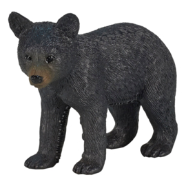 Black bear cub  Mojo 387287